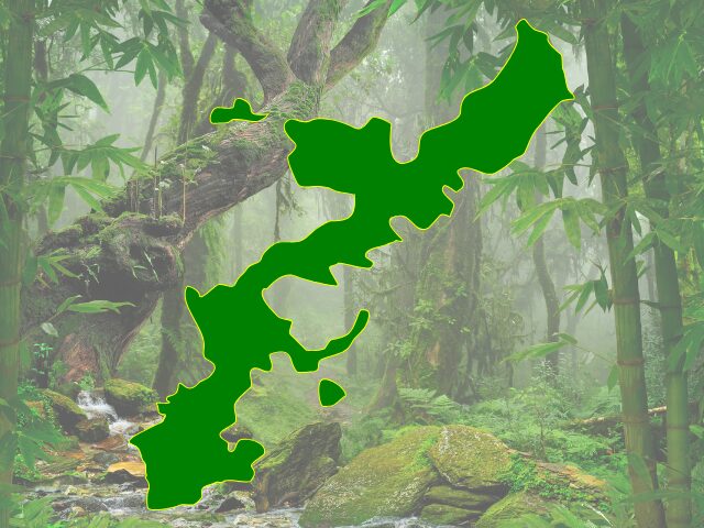 ジャングリアに行く前に知っておきたい基礎情報